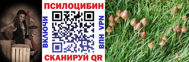 Псилоцибиновые грибы GOLDEN TEACHER  Купить где  Ковров 